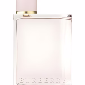 burberry her
